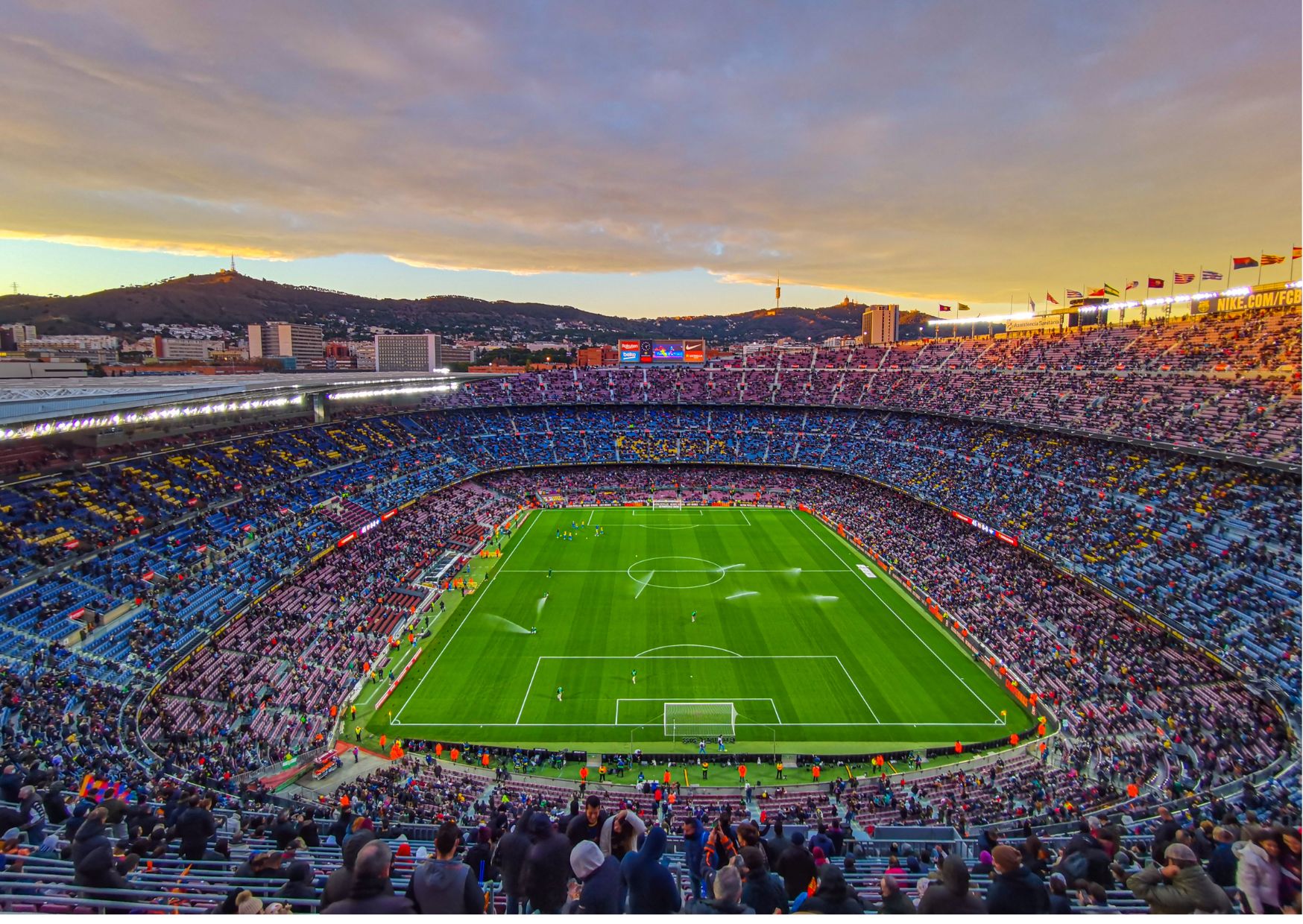 Sporting Spectacle: 7 Reasons to Visit London this Summer of 2024 (Hint: It’s NOT the Paris Olympics)