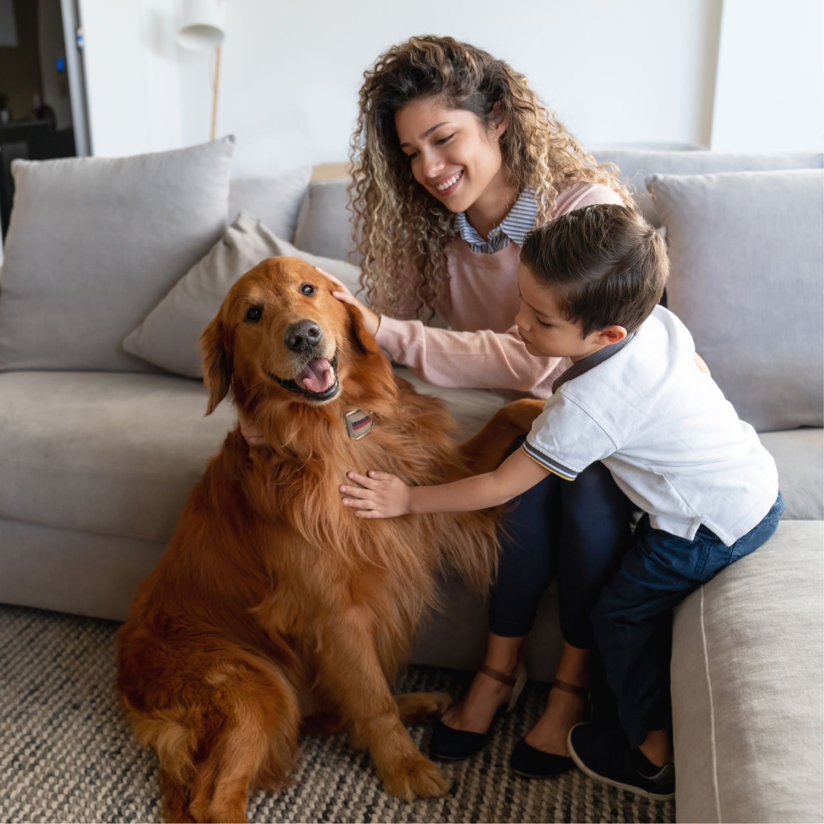 Pets in Rentals: How to Balance Tenant Rights and Property Protection