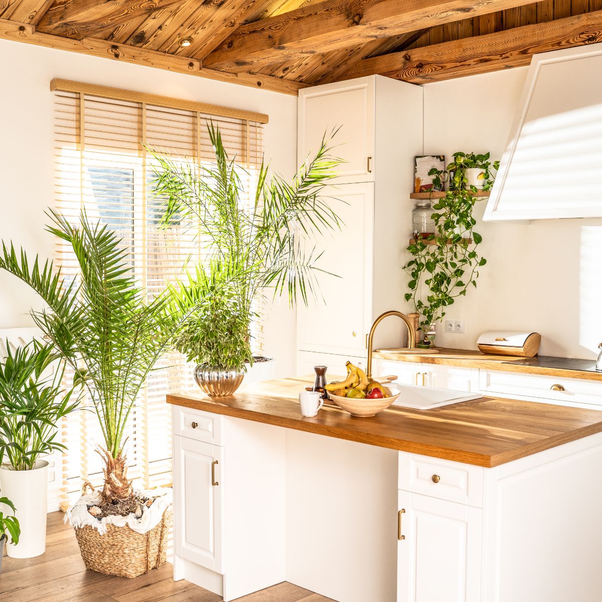 Sustainable Property Upgrades: 7 Tips to Improve Occupancy Rates