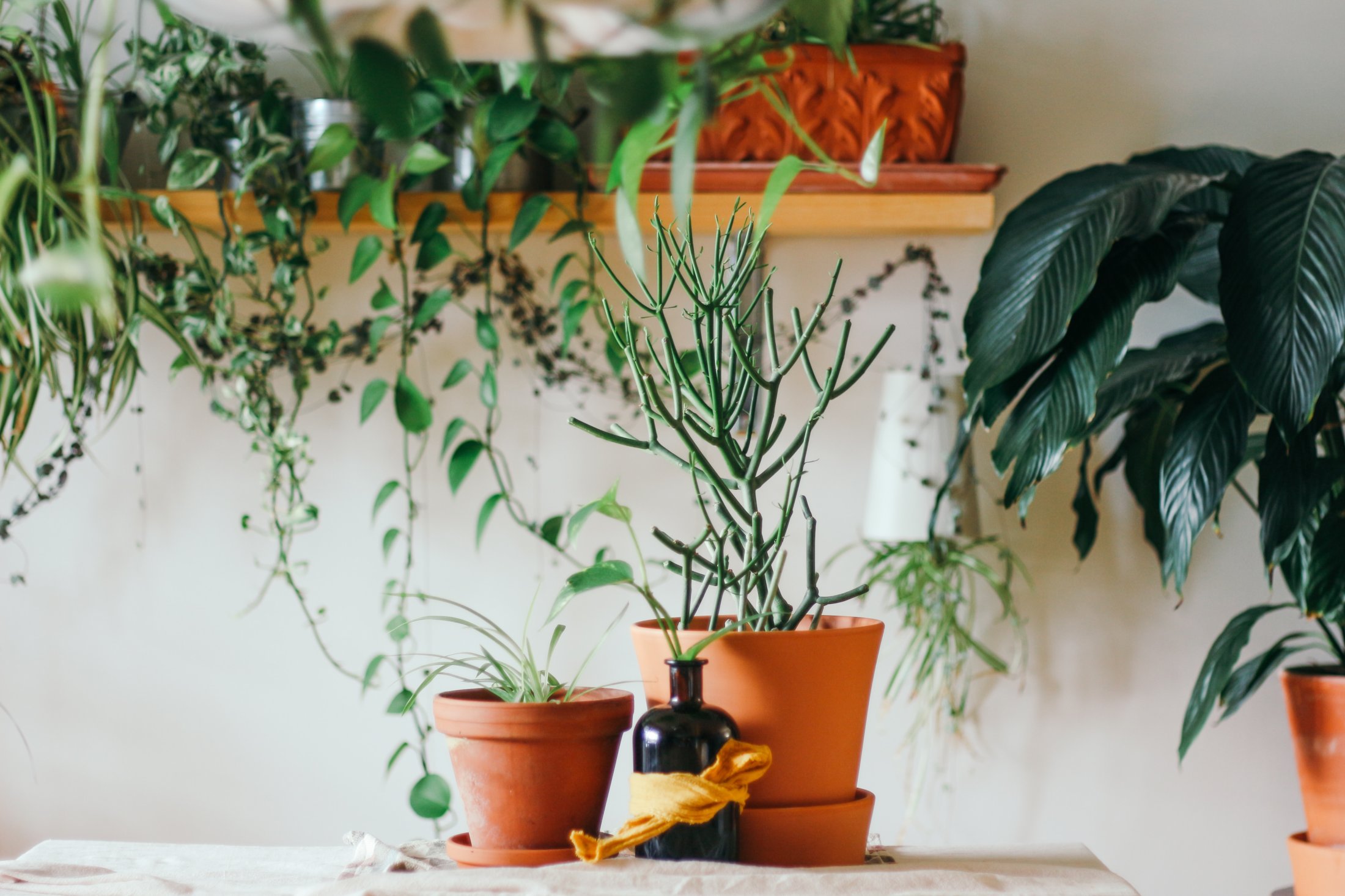 Sustainable Airbnb home