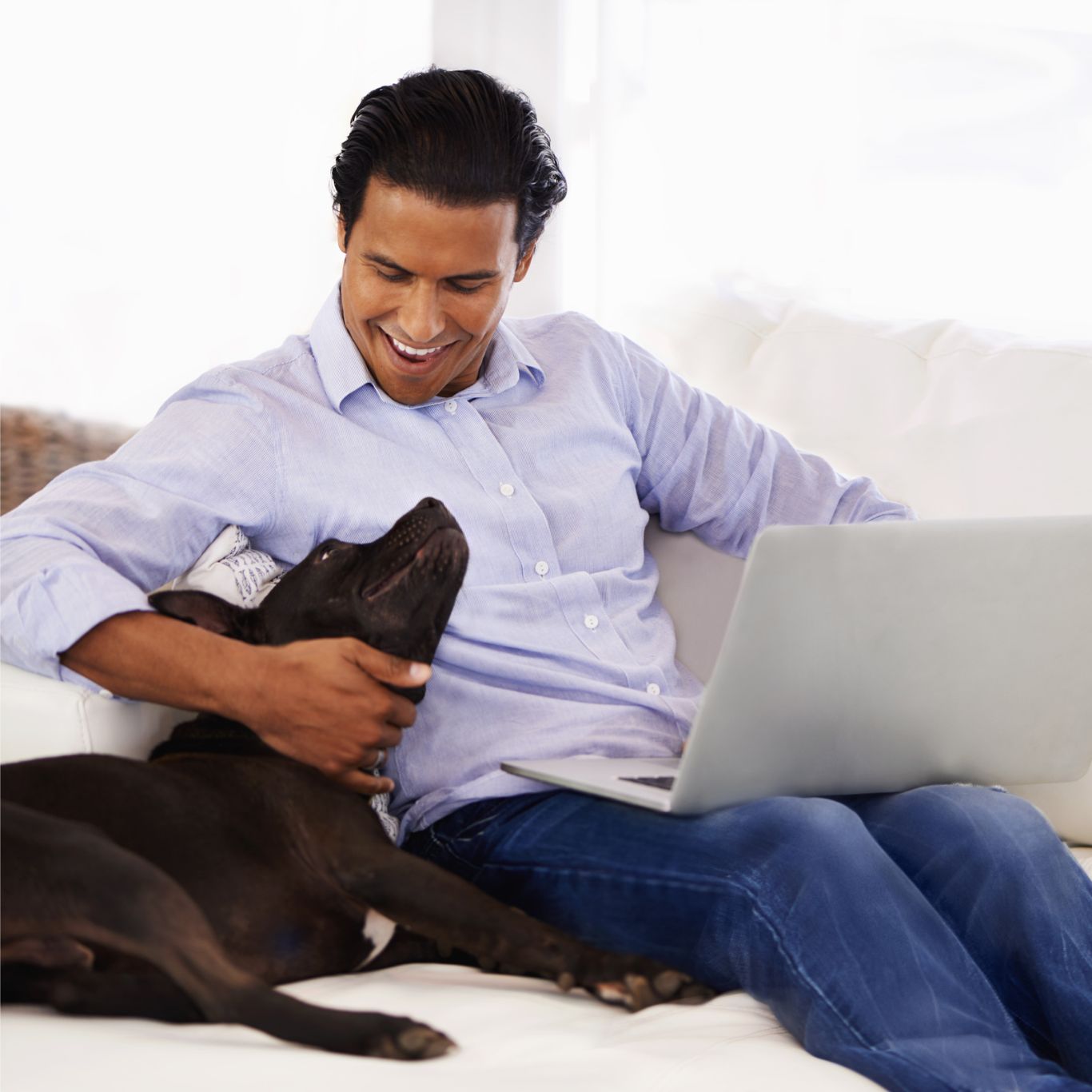 Opening Doors to Pet Lovers: Pros and Cons of Pet-Friendly Airbnb