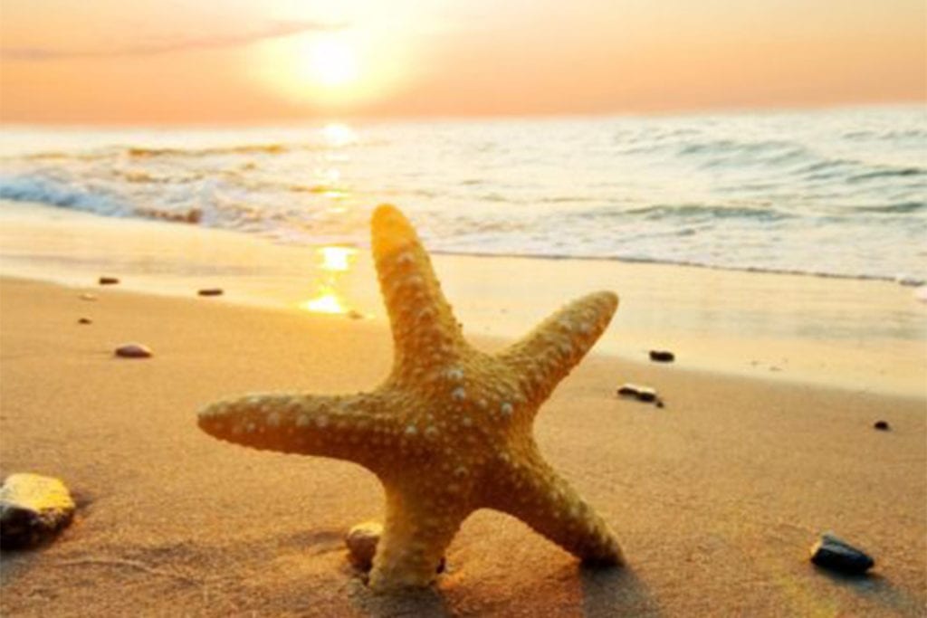 Make the most of the London summer season on Airbnb